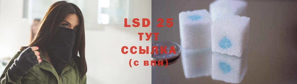 LSD-25 экстази кислота  что такое   МЕГА как войти  Кингисепп 